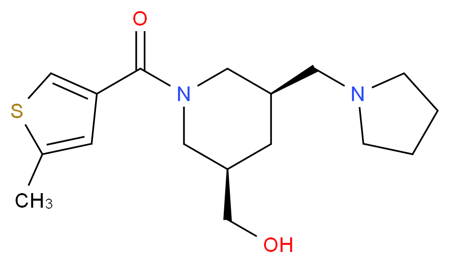  分子结构