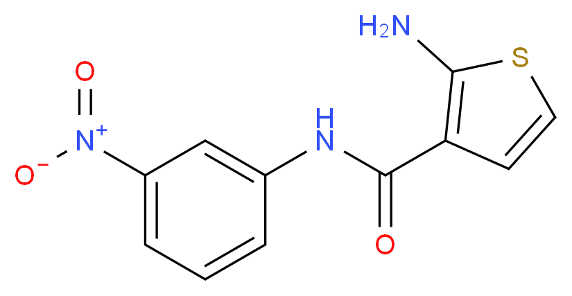 2-Amino-N-(3-nitrophenyl)thiophene-3-carboxamide_分子结构_CAS_)