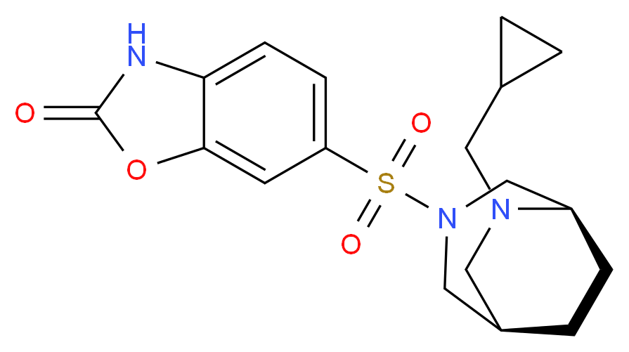 CAS_ 分子结构