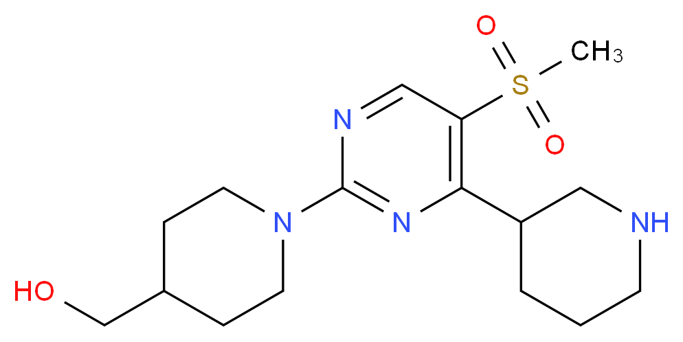  分子结构