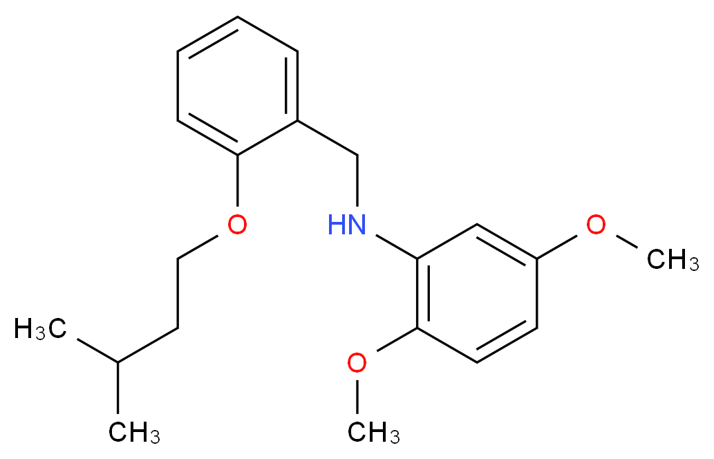 N-[2-(Isopentyloxy)benzyl]-2,5-dimethoxyaniline_分子结构_CAS_)