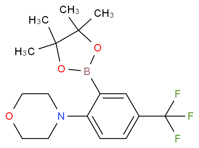 4-[2-(tetramethyl-1,3,2-dioxaborolan-2-yl)-4-(trifluoromethyl)phenyl]morpholine_分子结构_CAS_906352-77-0