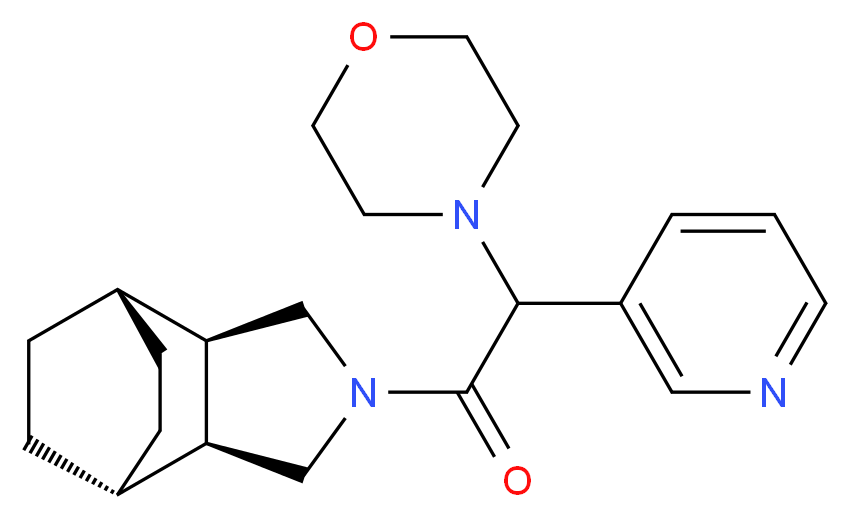  分子结构