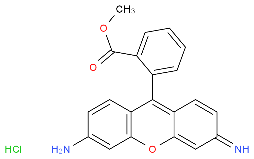 Rhodamine 123_分子结构_CAS_62669-70-9)