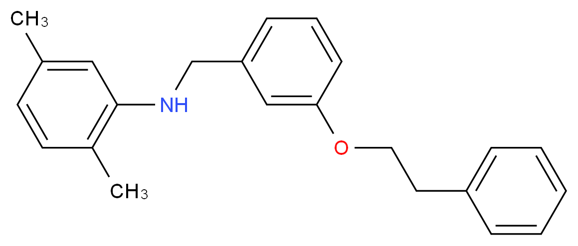 2,5-Dimethyl-N-[3-(phenethyloxy)benzyl]aniline_分子结构_CAS_)
