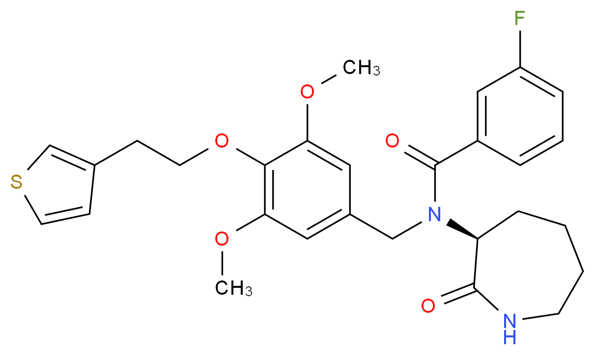  分子结构