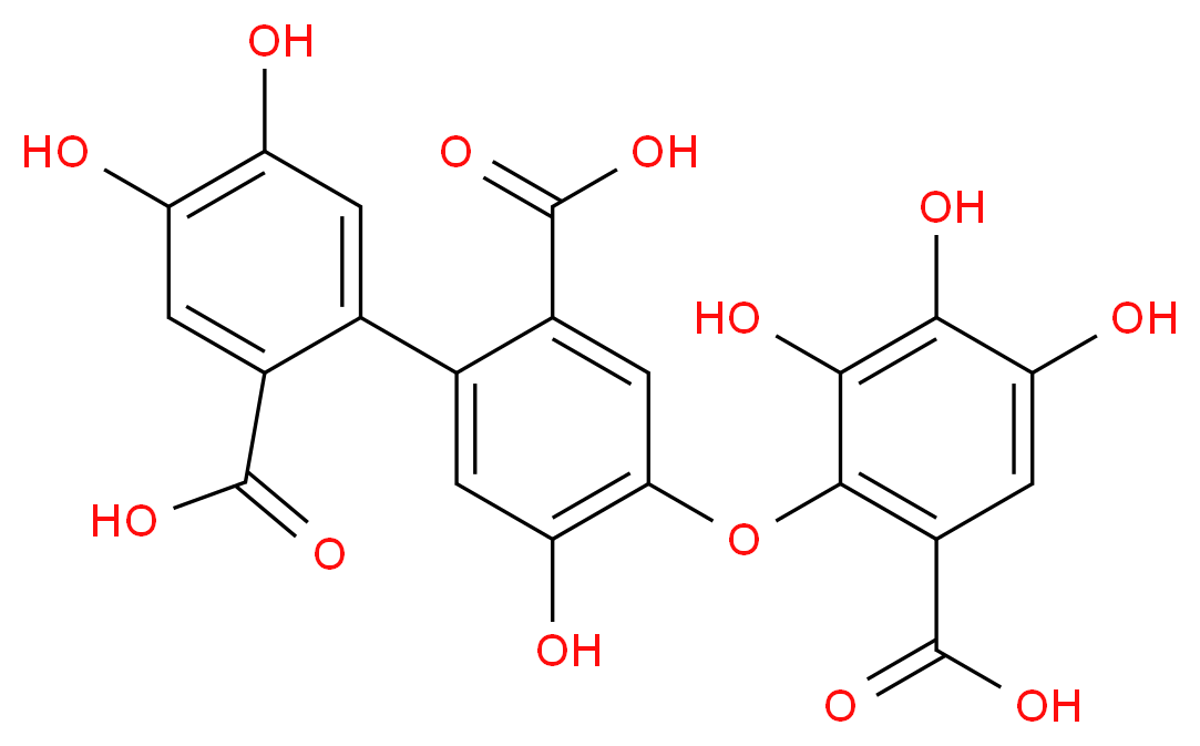 _分子结构_CAS_)
