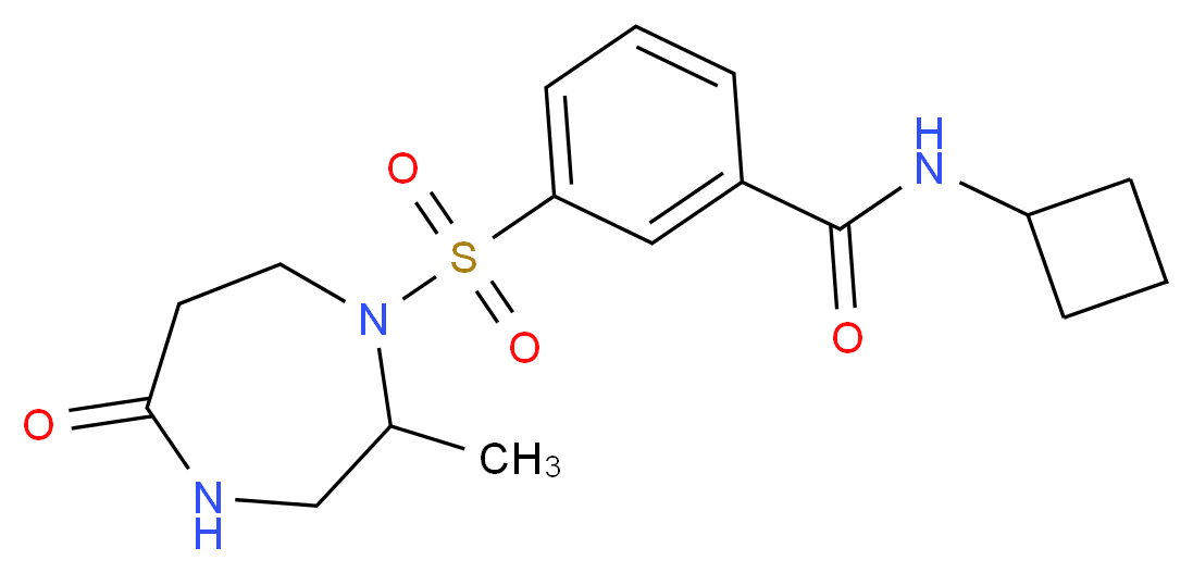 N-cyclobutyl-3-[(2-methyl-5-oxo-1,4-diazepan-1-yl)sulfonyl]benzamide_分子结构_CAS_)