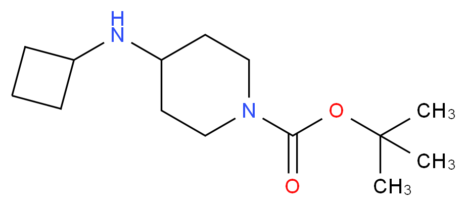 tert-butyl 4-(cyclobutylamino)piperidine-1-carboxylate_分子结构_CAS_812690-41-8