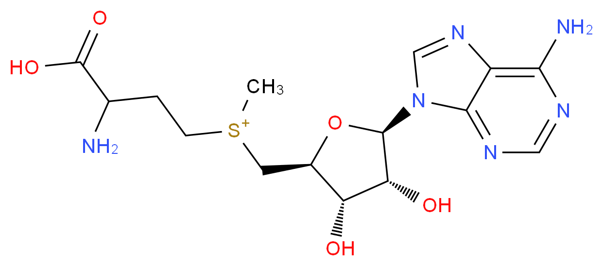 S-Adenosyl methionine_分子结构_CAS_29908-03-0)