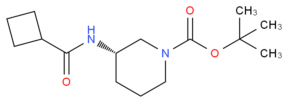 (3S)-3-[(Cyclobutylcarbonyl)amino]piperidine, N1-BOC protected_分子结构_CAS_)