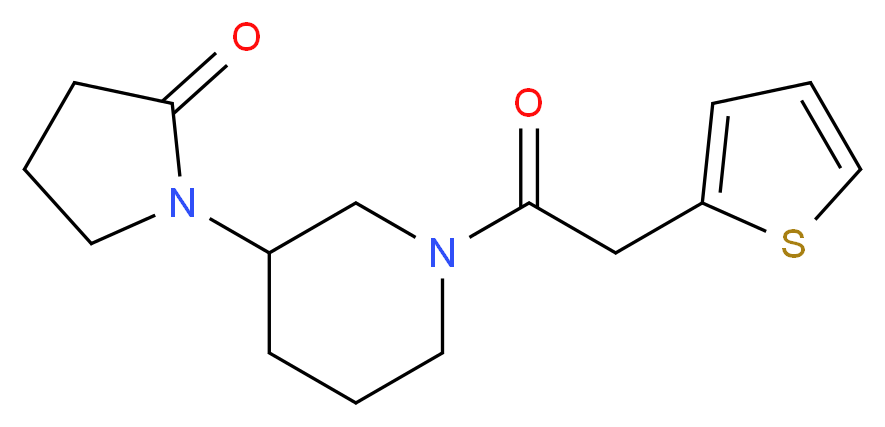 1-[1-(2-thienylacetyl)piperidin-3-yl]pyrrolidin-2-one_分子结构_CAS_)