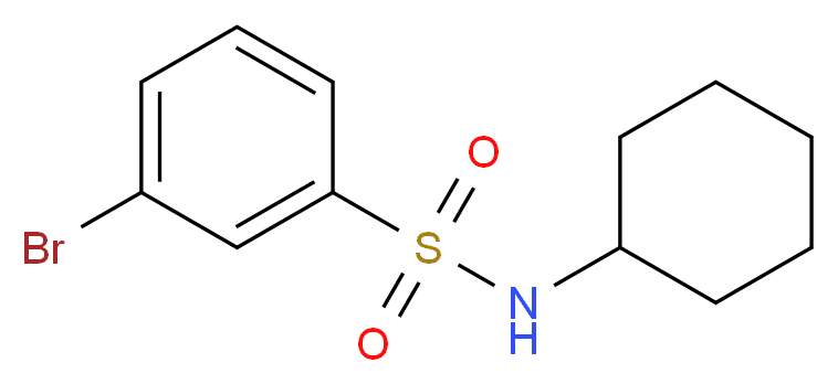 N-CYCLOHEXYL 3-BROMOBENZENESULFONAMIDE_分子结构_CAS_871269-10-2)