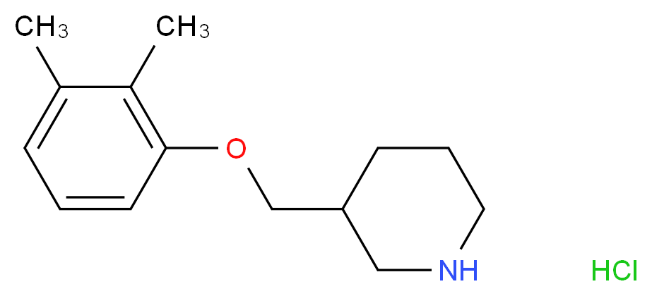 3-[(2,3-Dimethylphenoxy)methyl]piperidine hydrochloride_分子结构_CAS_)