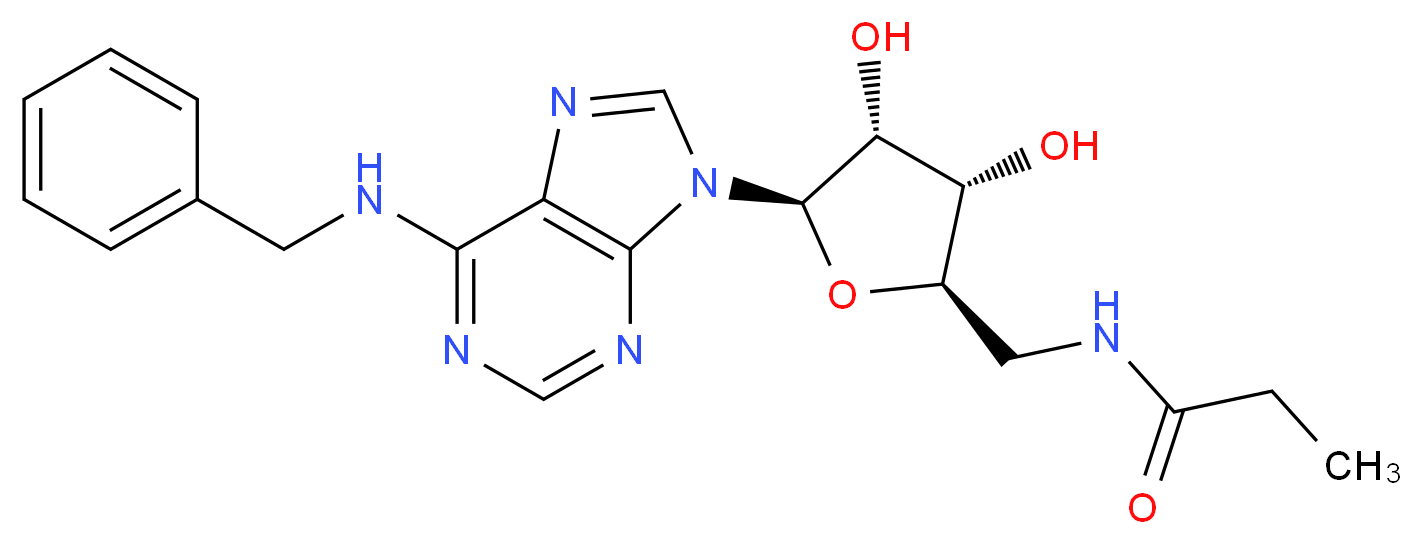 N6-BENZYL-5'-N-ETHYLCARBOXAMIDOADENOSINE_分子结构_CAS_)