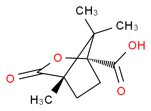 (1R,4S)-4,7,7-trimethyl-3-oxo-2-oxabicyclo[2.2.1]heptane-1-carboxylic acid_分子结构_CAS_67111-66-4