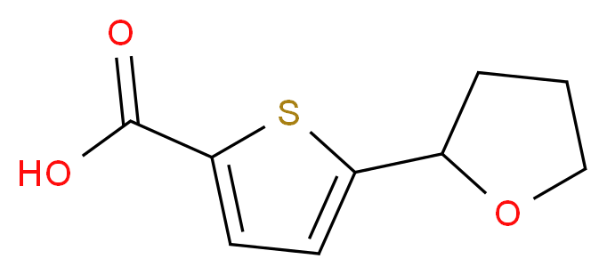 5-(tetrahydrofuran-2-yl)thiophene-2-carboxylic acid_分子结构_CAS_959237-71-9)