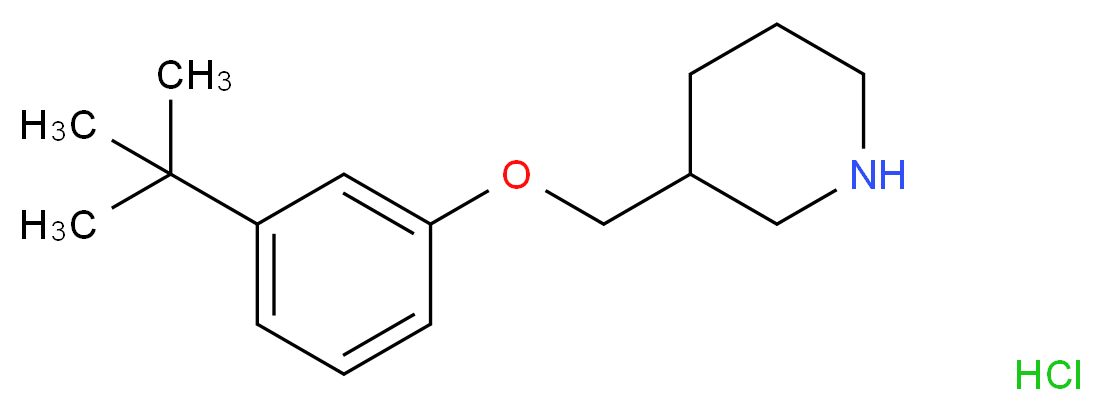 3-(tert-Butyl)phenyl 3-piperidinylmethyl ether hydrochloride_分子结构_CAS_)