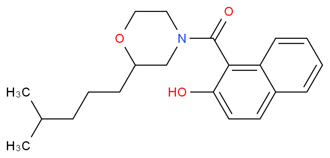  分子结构