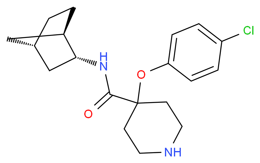  分子结构