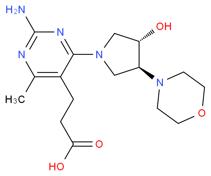  分子结构
