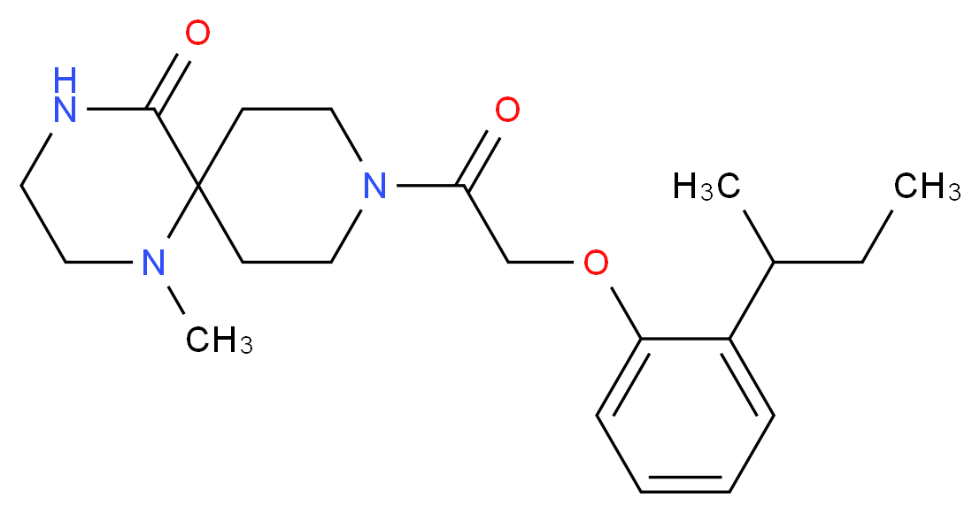  分子结构