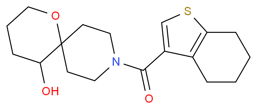  分子结构