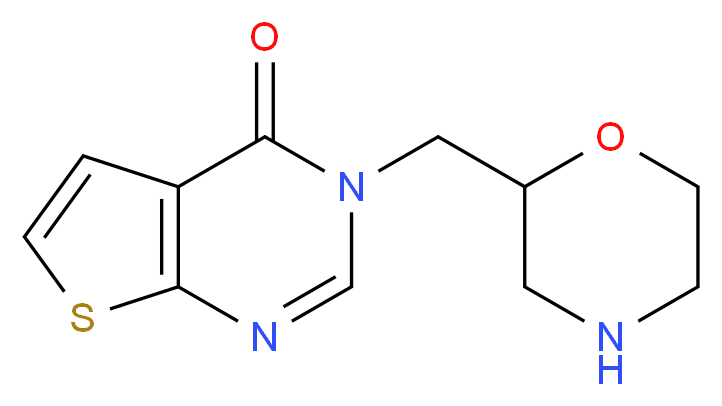  分子结构