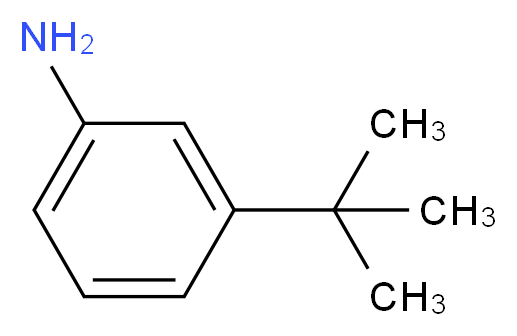 3-(tert-butyl)aniline_分子结构_CAS_5369-19-7)