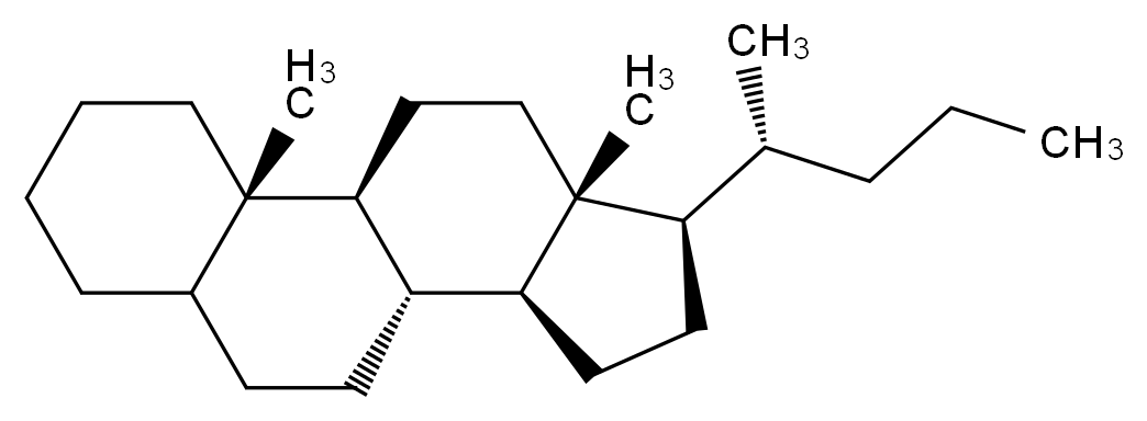 (1S,2S,10R,11S,14R,15R)-2,15-dimethyl-14-[(2R)-pentan-2-yl]tetracyclo[8.7.0.0<sup>2</sup>,<sup>7</sup>.0<sup>1</sup><sup>1</sup>,<sup>1</sup><sup>5</sup>]heptadecane_分子结构_CAS_80373-86-0