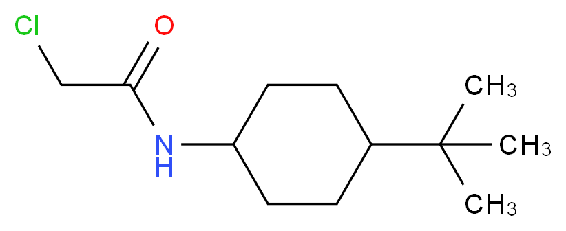 N-(4-tert-butylcyclohexyl)-2-chloroacetamide_分子结构_CAS_500887-21-8