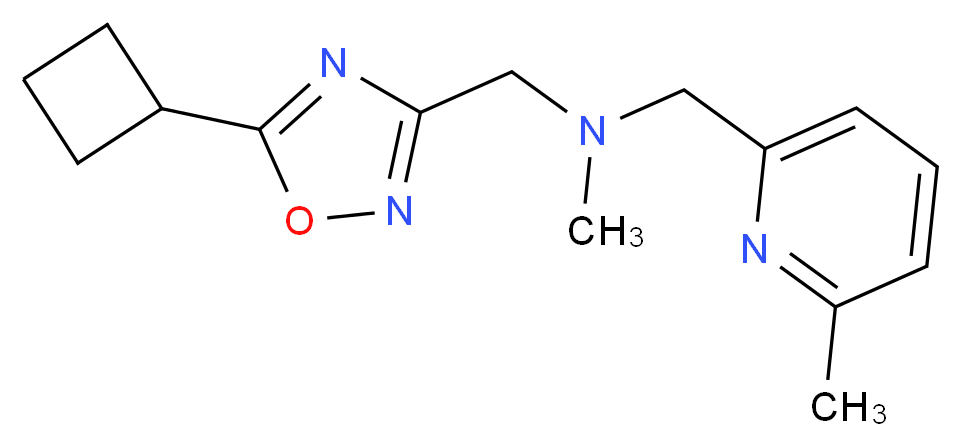 1-(5-cyclobutyl-1,2,4-oxadiazol-3-yl)-N-methyl-N-[(6-methylpyridin-2-yl)methyl]methanamine_分子结构_CAS_)