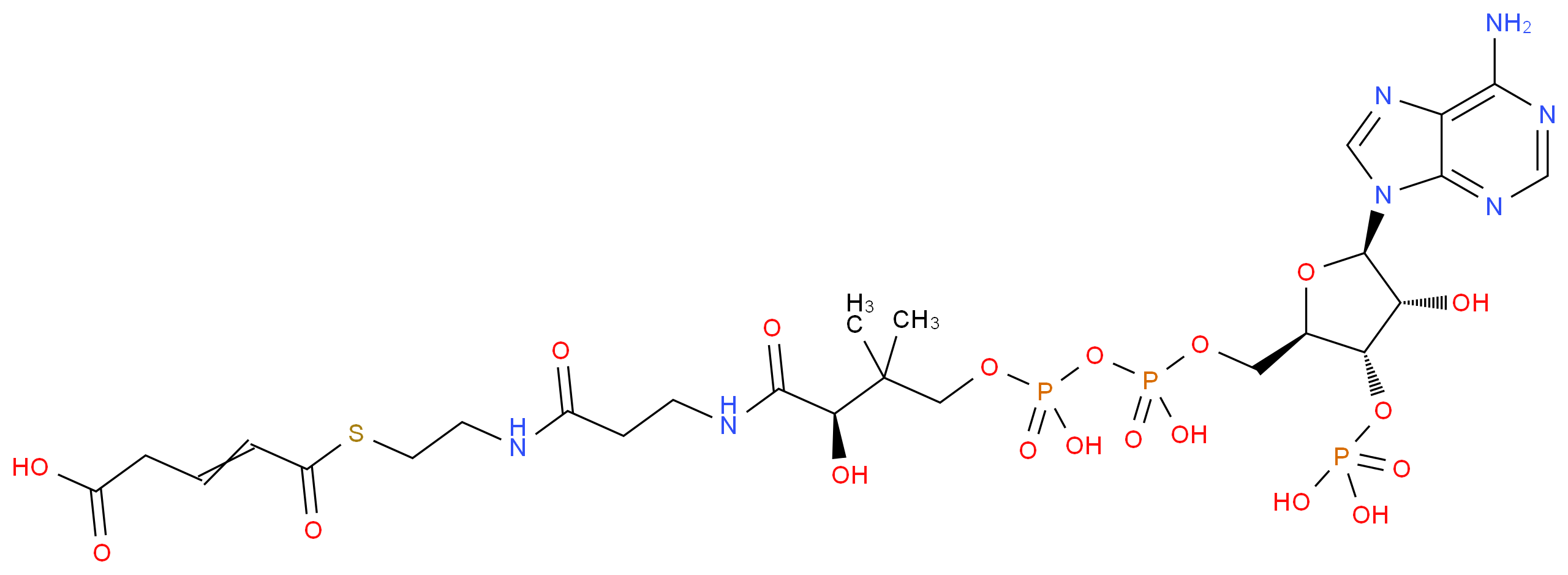 5-[(2-{3-[(2R)-3-[({[({[(2R,3S,4R,5R)-5-(6-amino-9H-purin-9-yl)-4-hydroxy-3-(phosphonooxy)oxolan-2-yl]methoxy}(hydroxy)phosphoryl)oxy](hydroxy)phosphoryl}oxy)methyl]-2-hydroxy-3-methylbutanamido]propanamido}ethyl)sulfanyl]-5-oxopent-3-enoic acid_分子结构_CAS_6712-05-6