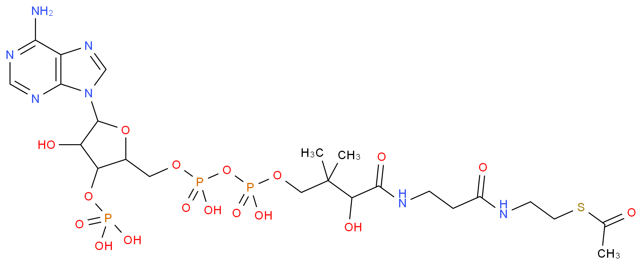 ({2-[({[({3-[(2-{[2-(acetylsulfanyl)ethyl]carbamoyl}ethyl)carbamoyl]-3-hydroxy-2,2-dimethylpropoxy}(hydroxy)phosphoryl)oxy](hydroxy)phosphoryl}oxy)methyl]-5-(6-amino-9H-purin-9-yl)-4-hydroxyoxolan-3-yl}oxy)phosphonic acid_分子结构_CAS_72-89-9