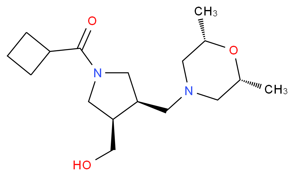 CAS_ 分子结构