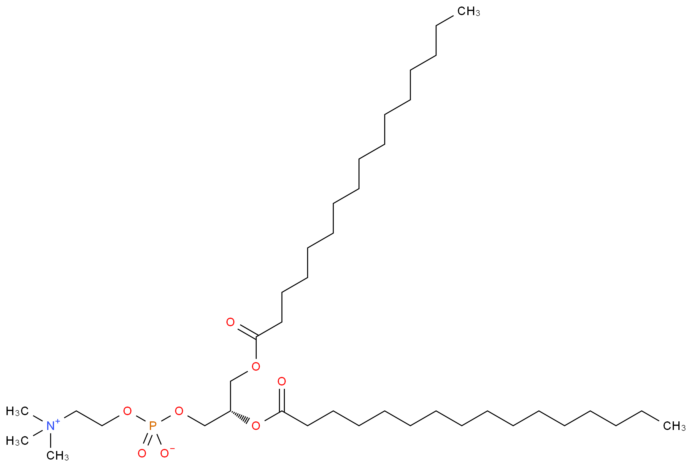 2,3-Dipalmitoyl-sn-glycero-1-phosphocholine_分子结构_CAS_35418-55-4)