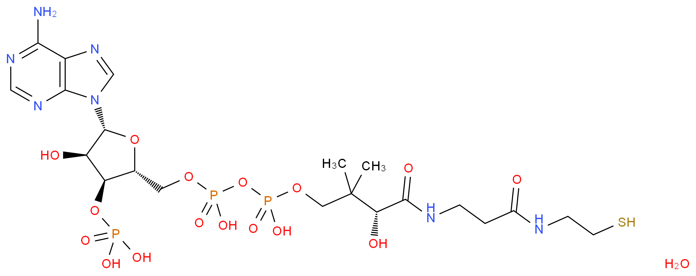 辅酶 A 水合物_分子结构_CAS_85-61-0(anhydrous))