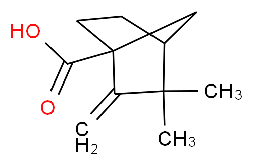 3,3-dimethyl-2-methylenebicyclo[2.2.1]heptane-1-carboxylic acid_分子结构_CAS_10309-20-3)