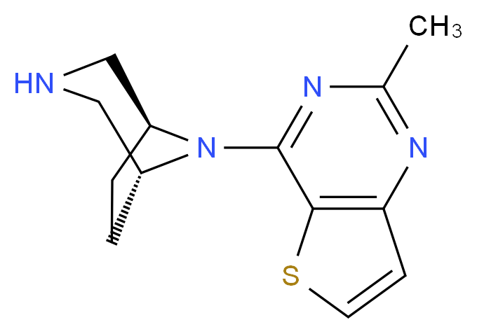4-[(1R*,5S*)-3,8-diazabicyclo[3.2.1]oct-8-yl]-2-methylthieno[3,2-d]pyrimidine_分子结构_CAS_)