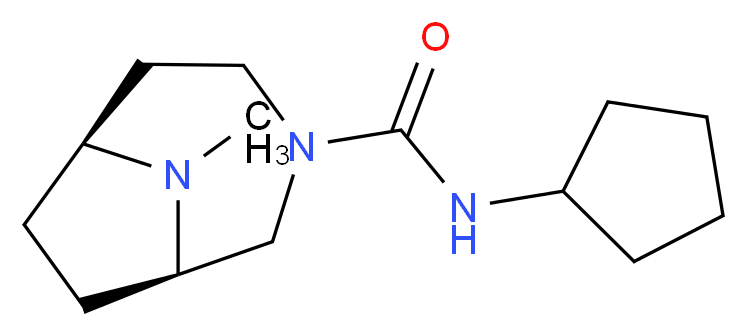 分子结构