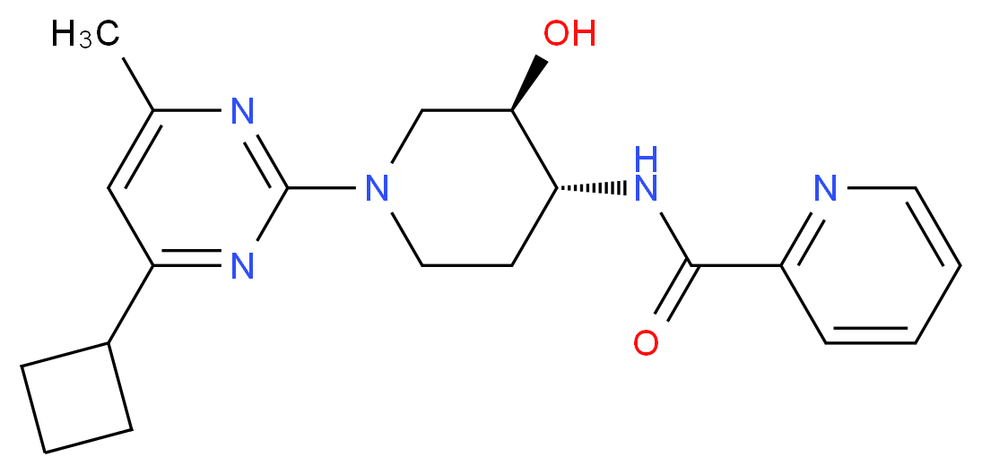  分子结构