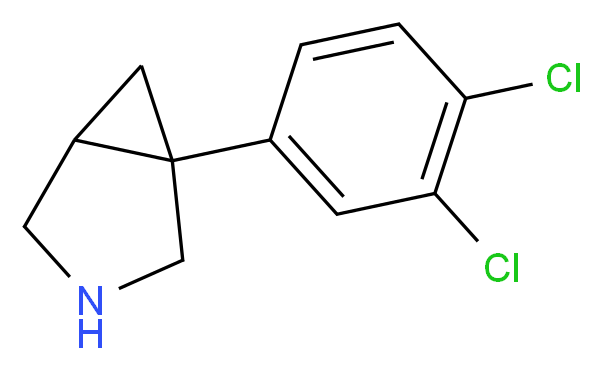 162221510 分子结构