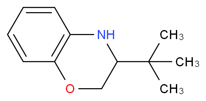 3-(tert-Butyl)-3,4-dihydro-2H-1,4-benzoxazine_分子结构_CAS_32278-16-3)