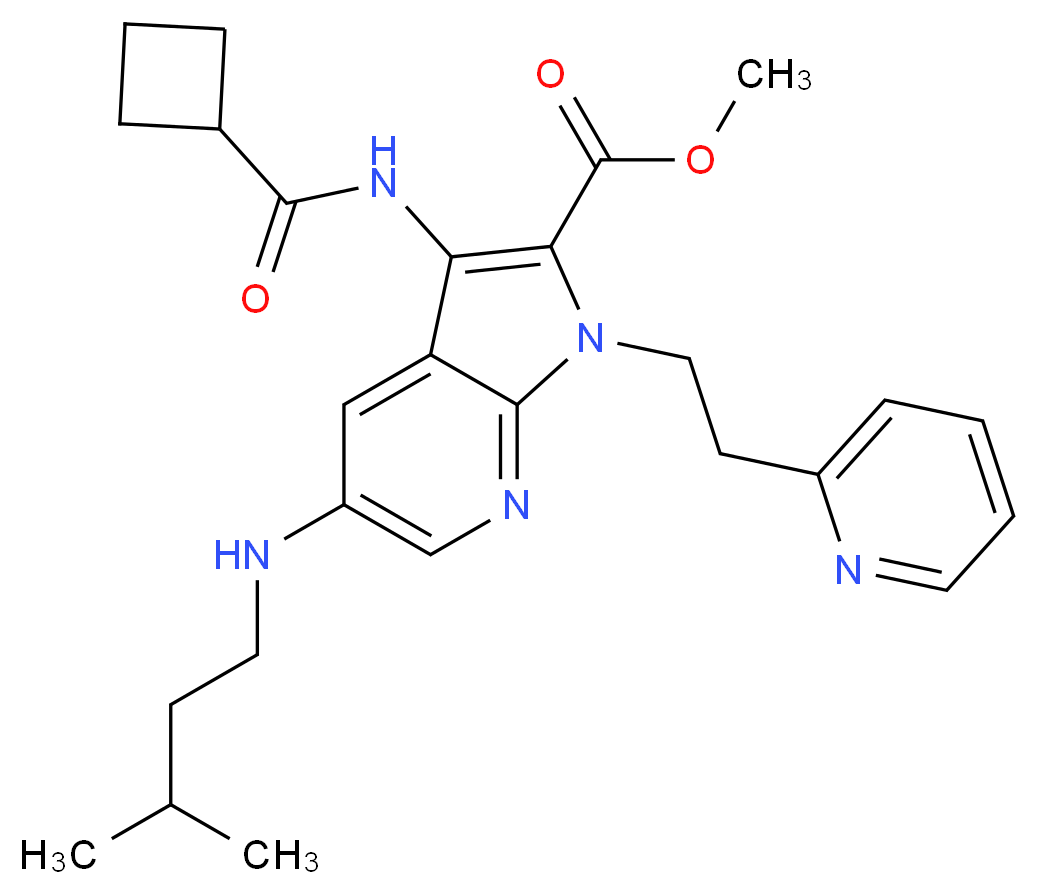 CAS_ 分子结构