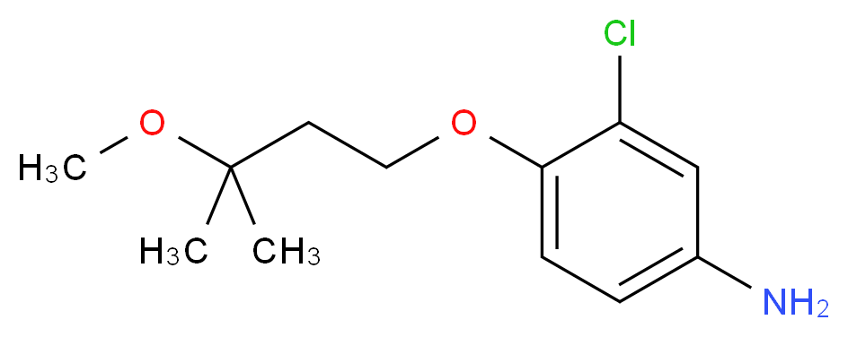 3-Chloro-4-(3-methoxy-3-methyl-butoxy)-phenylamine_分子结构_CAS_)