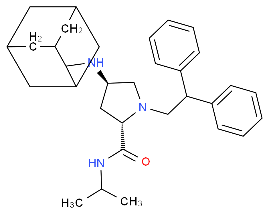  分子结构