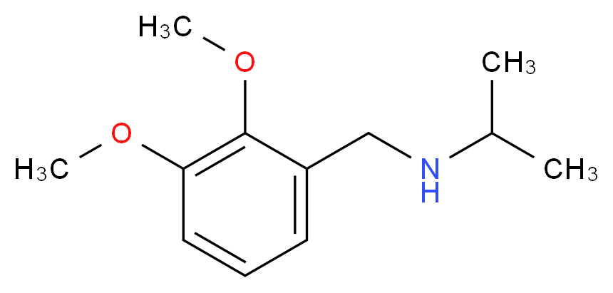 (2,3-dimethoxybenzyl)isopropylamine_分子结构_CAS_418773-88-3)