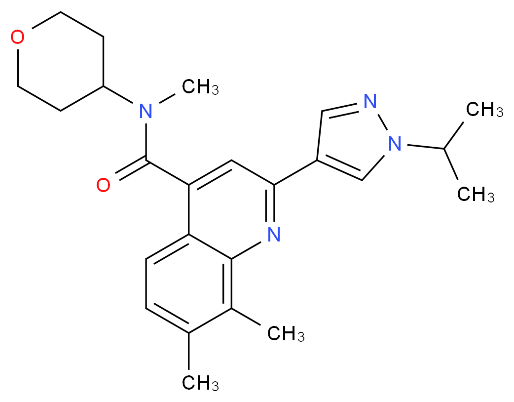  分子结构