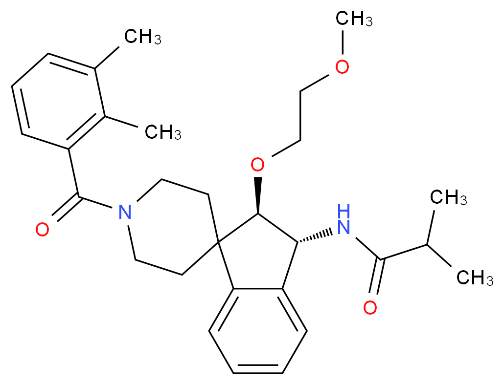  分子结构