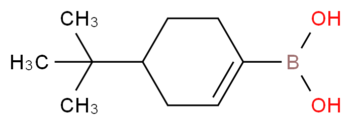 4-(tert-Butylcyclohexen-1-yl)boronic acid 97%_分子结构_CAS_850567-91-8)